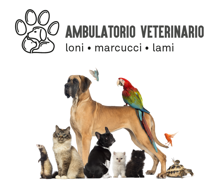 ambulatorio veterinario pisa esperto in esotici